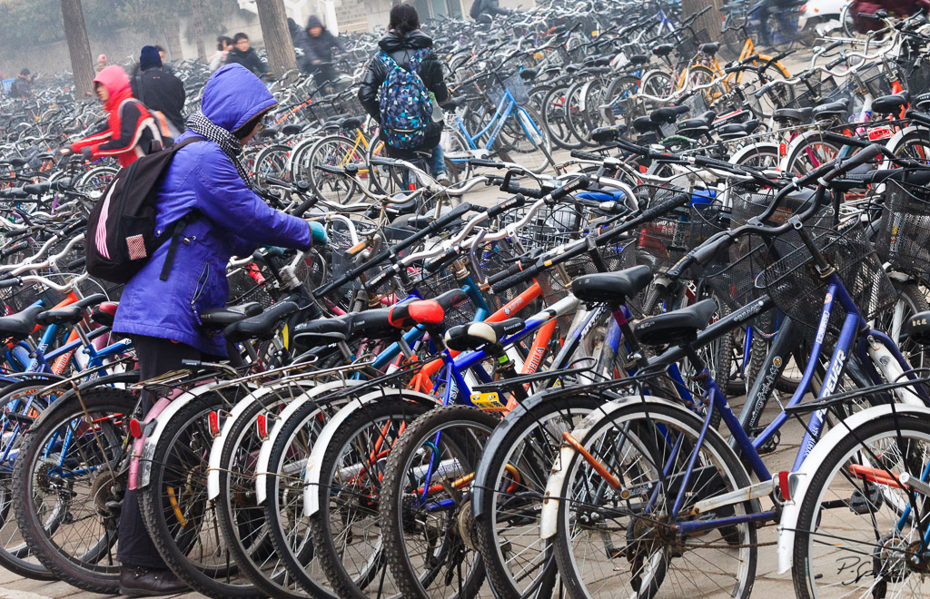 Bicycles in Tsinghua University. Beijing 05.12.11