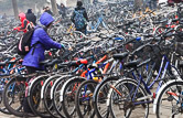 Bicycles in Tsinghua University. Beijing 05.12.11