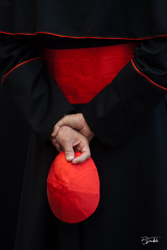 A Cardinal holding his mitre during the procession to the Lourdes Grotto in the vatican gardens at the end of the Marian month. Vatican City, May 31, 2011.